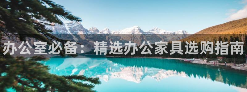 龙八国际long88