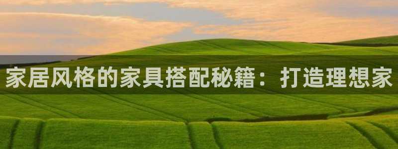 龙八国际官方手游