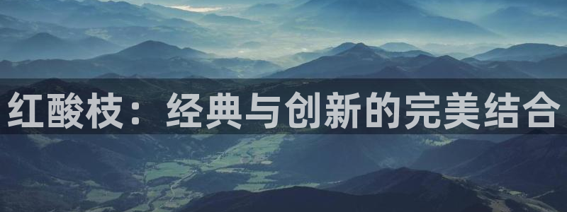 龙八国际网址是什么