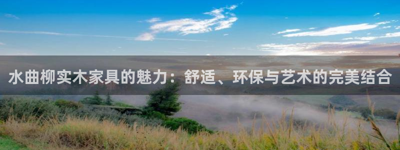龙八国际网b48点tv