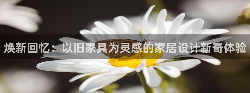 不会玩龙八国际