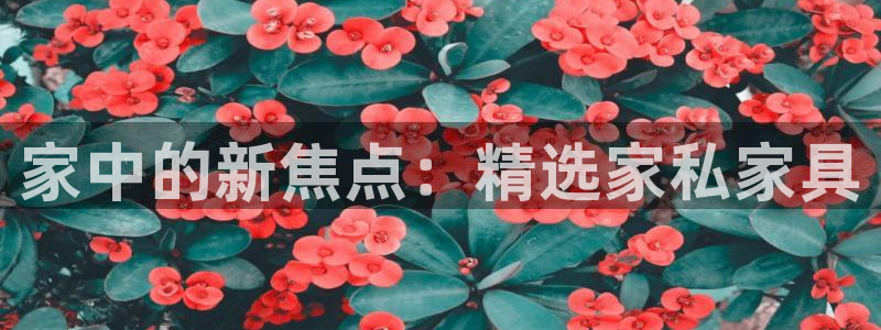 龙八国际平台