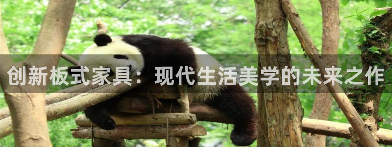 龙 八国际