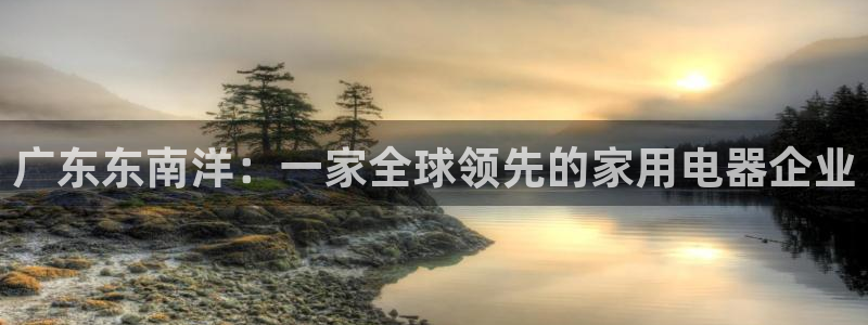 龙八国际游戏