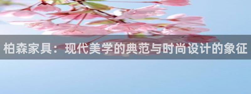 龙八国际城网站