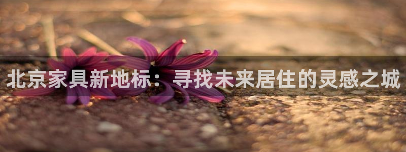 龙八国际游戏娱乐