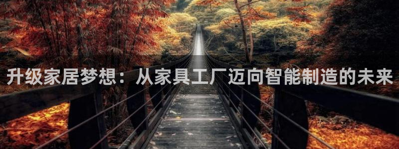 龙八国际app电话