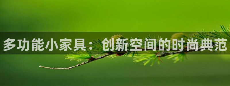 龙八国际登