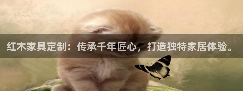 龙八国际城客运站电话