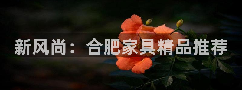 龙八国际网页long