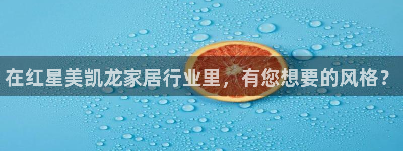 龙八国际手机版下载地址