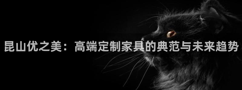 龙八国际服官网下载安卓