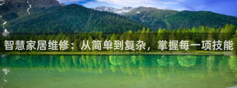 龙八国际是什么