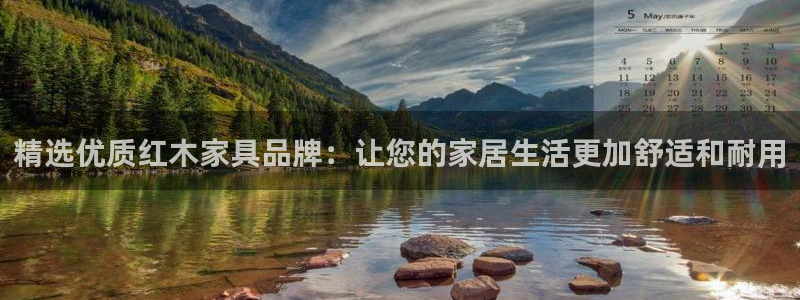 在龙八国际