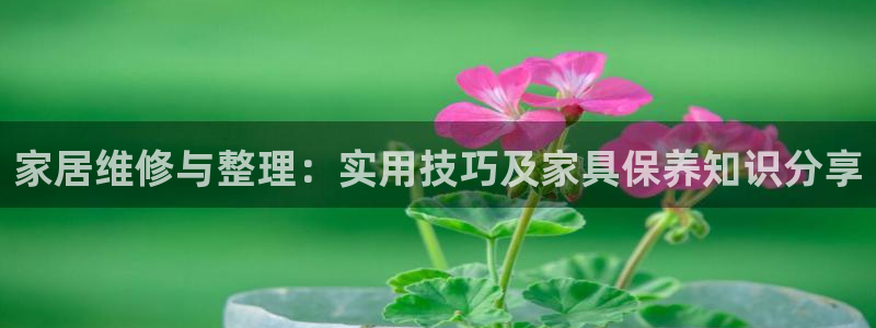龙八国际手机下载安装