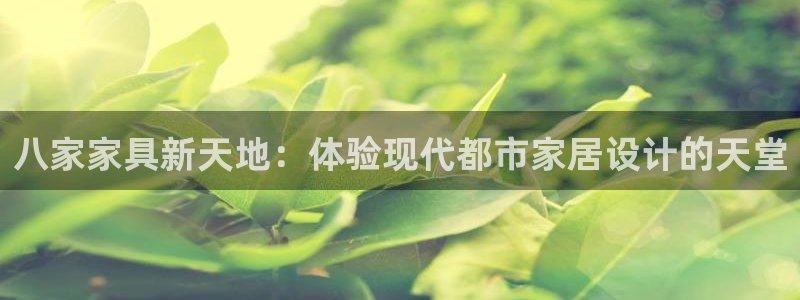 龙八国际娱乐场