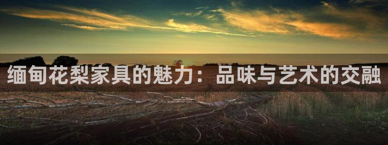 龙八国际输死人