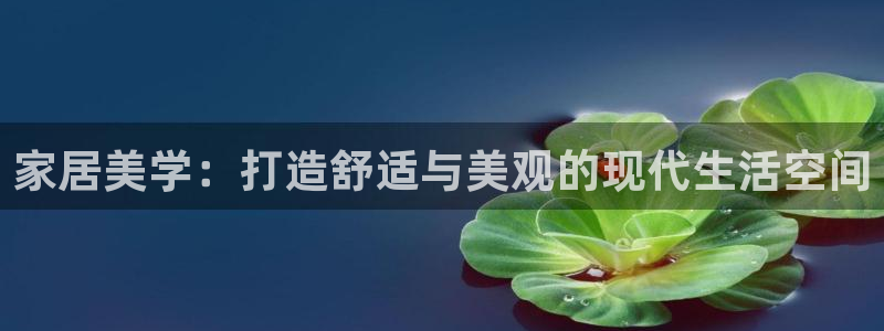 菲律宾的龙八国际输钱