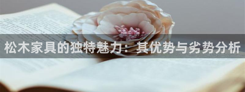 正规龙八国际