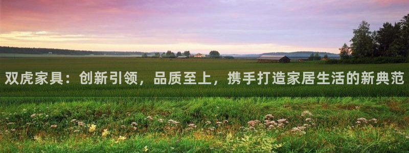 龙八国际娱乐实力如何：双虎家具：创新引领，品质至上，携手打造