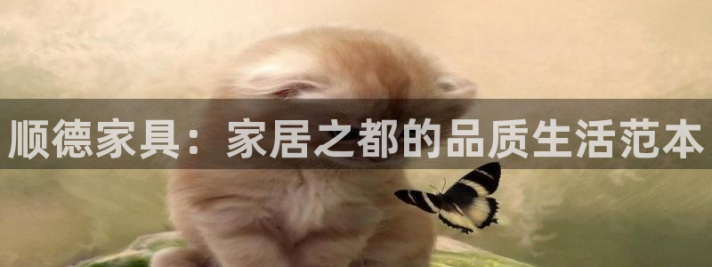 龙八国际不可思议的气球