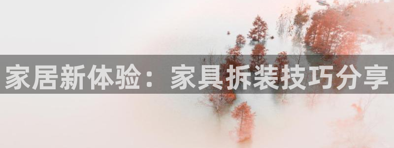 龙八国际手游