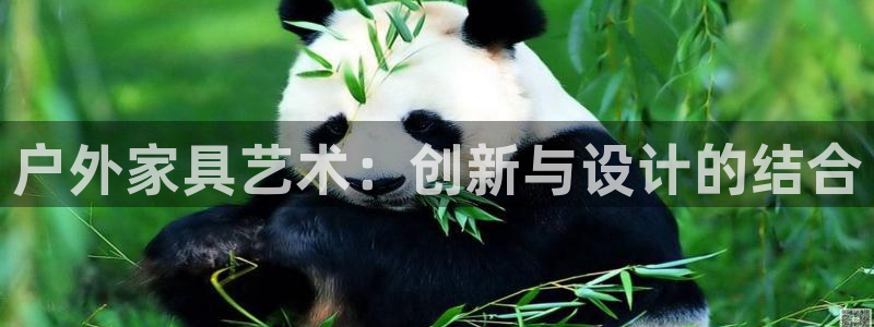 龙八国际娱乐App客户端下载
