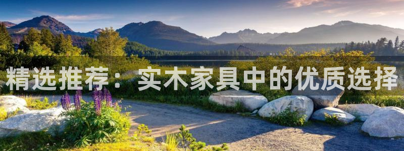 龙八国际手机端官网
