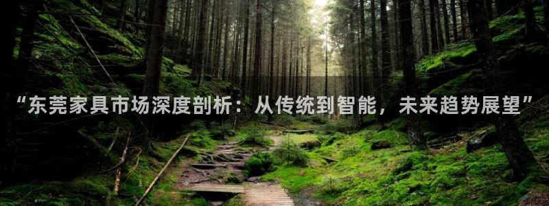 龙八国际官首页