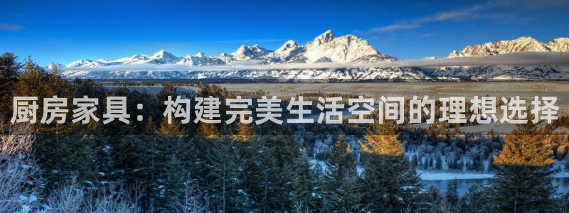 龙八国际发哥下载