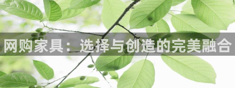 龙八国际网址f68点top
