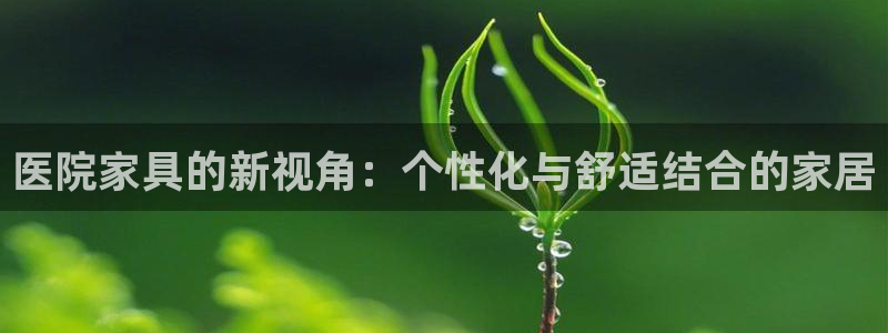 头号玩家龙八国际网址