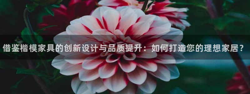龙八国际贸易有限公司