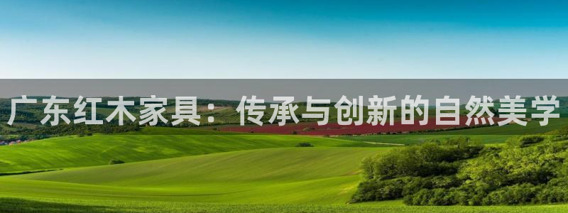 龙八国际地址