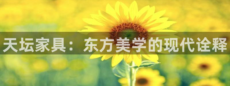龙八国际app首页