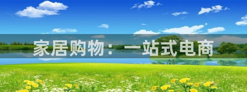 龙八国际long8