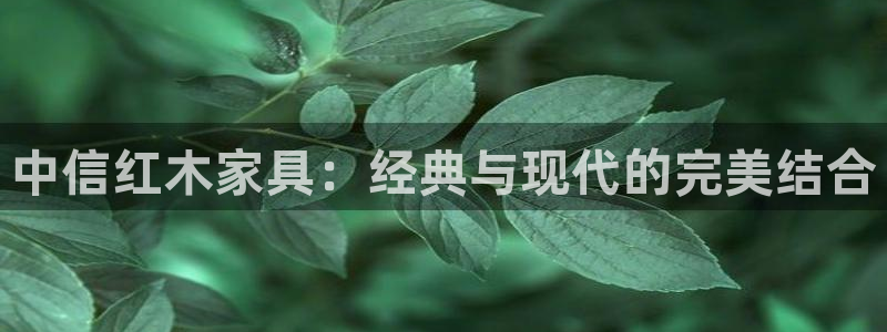 龙八国际菲律宾官网