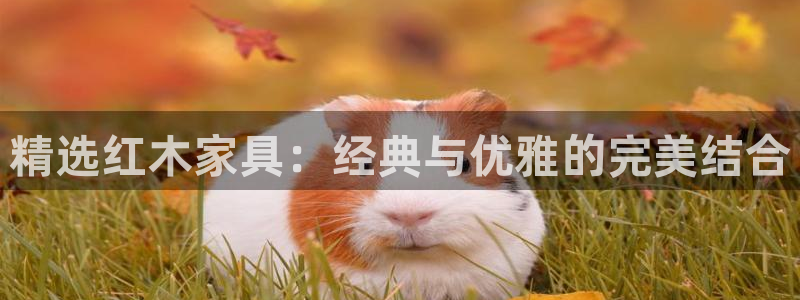 龙八国际电话