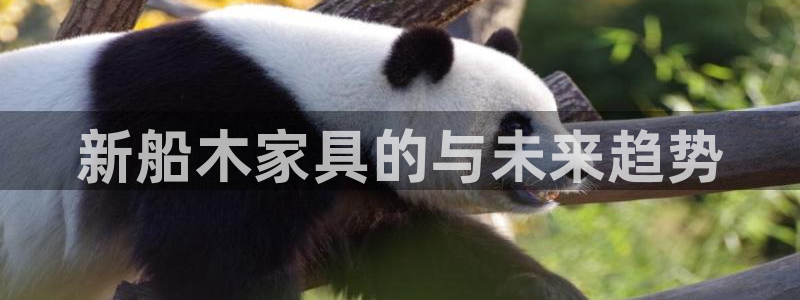龙八国际服官网进入