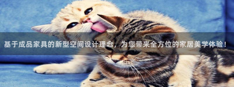 龙八国际娯乐城软件下载