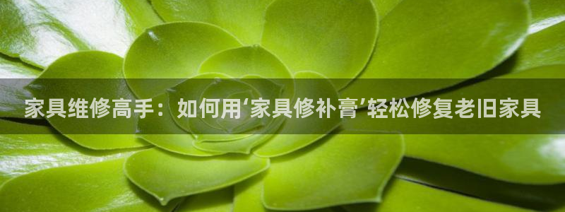 龙八国际pt游戏下载