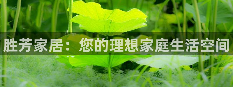 龙八国际手机版下载地址