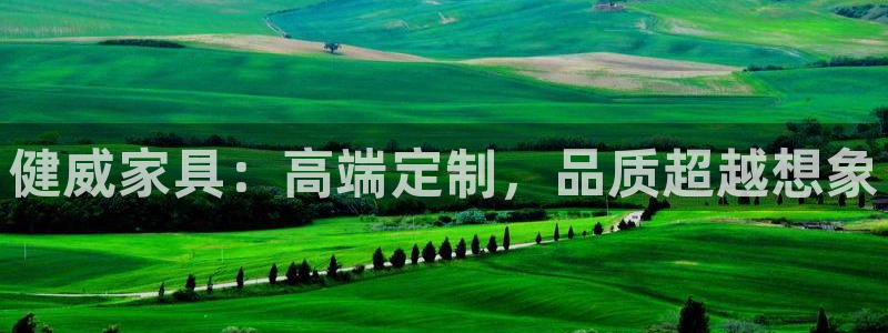 龙八国际apPP