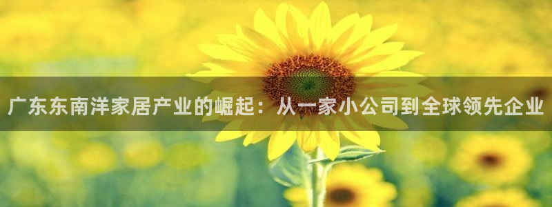 龙八国际平台真人游戏