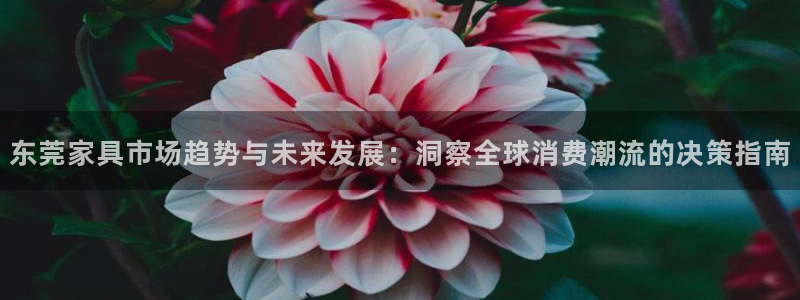 龙八国际苹果版