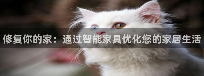 菲律宾的龙八国际输钱