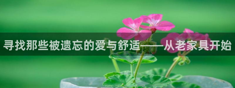 龙八国际娱乐城