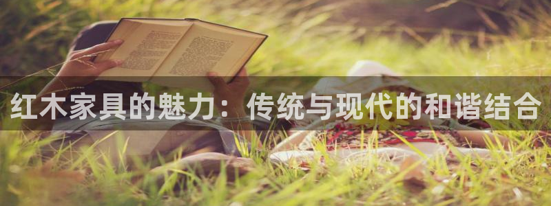 龙八国际服官方