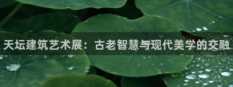 龙八国际官网客户服务