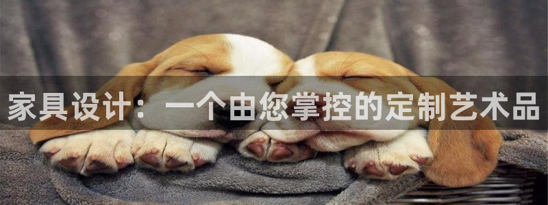 龙八国际网页